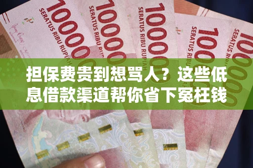 北京担保费贵到想骂人？这些低息借款渠道帮你省下冤枉钱