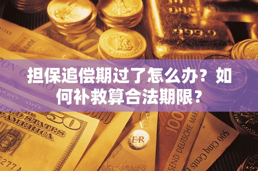 北京担保追偿期过了怎么办？如何补救算合法期限？