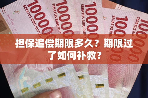 北京担保追偿期限多久？期限过了如何补救？