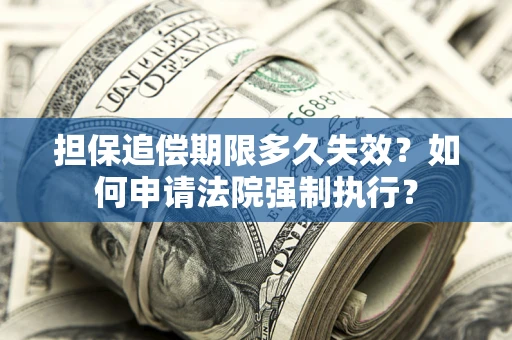 北京担保追偿期限多久失效？如何申请法院强制执行？