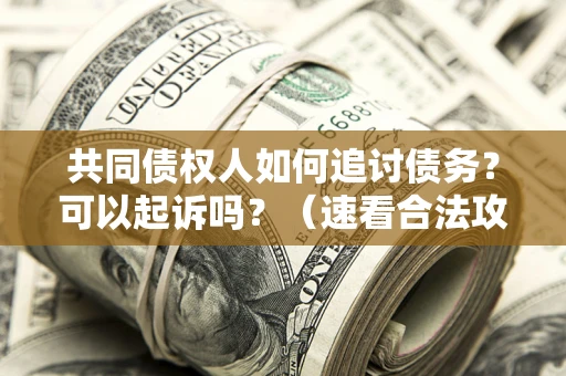 北京共同债权人如何追讨债务？可以起诉吗？（速看合法攻略）