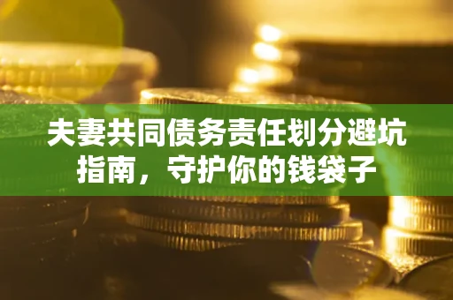 北京夫妻共同债务责任划分避坑指南，守护你的钱袋子